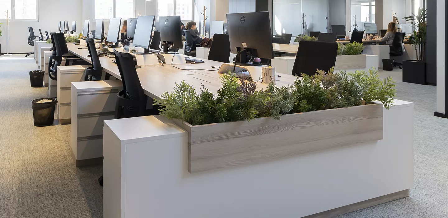 remodelação de escritórios no porto